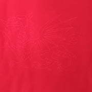 Wales Rugby Baby Sleepsuit | Red | 2024/25