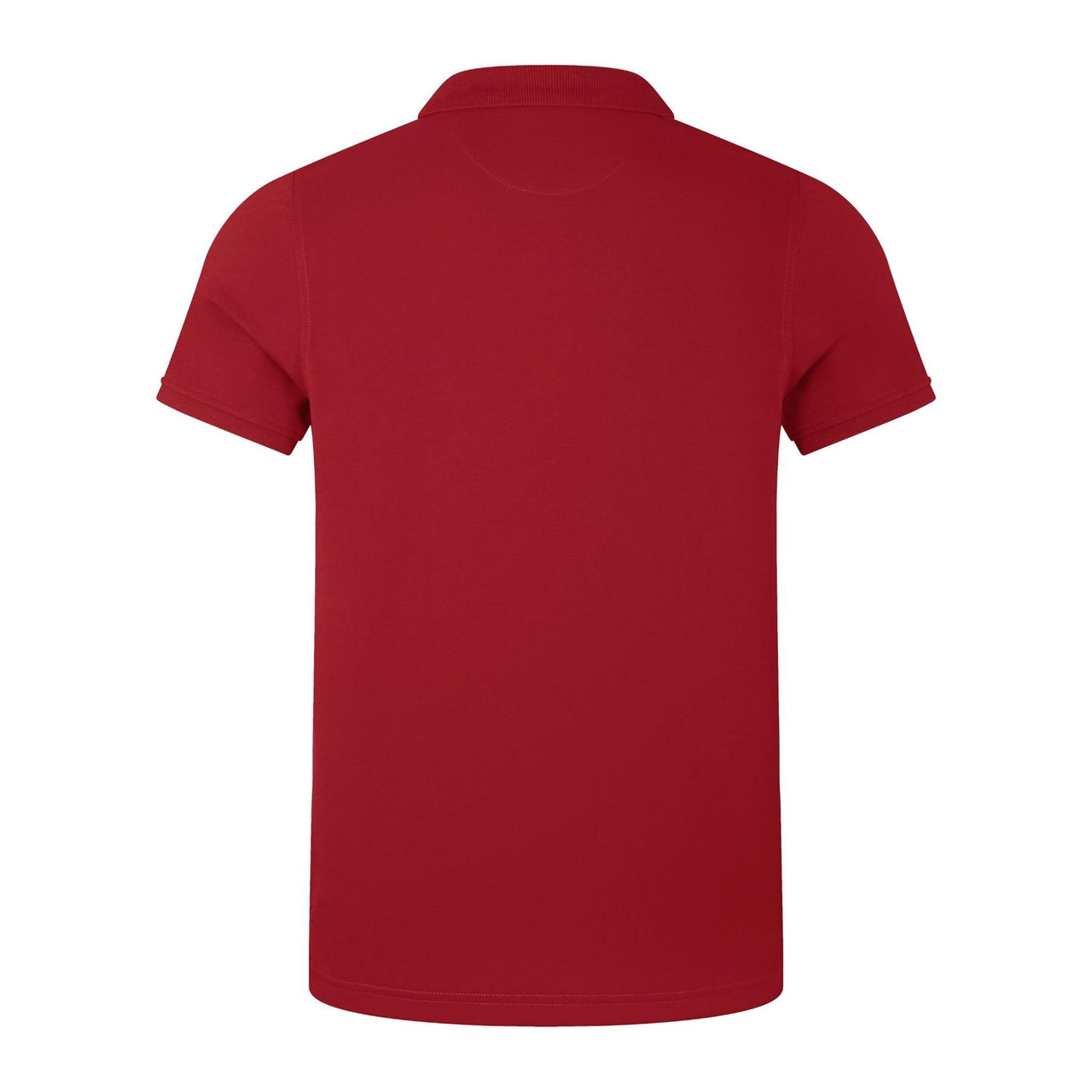 Canterbury British & Irish Lions Rugby Mens Pique Polo Shirt in Red, back view
