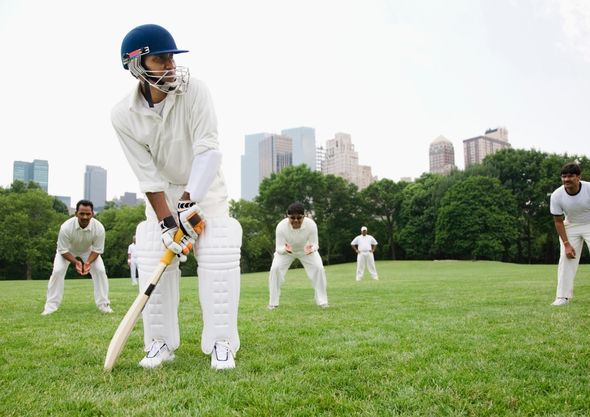 Cricket