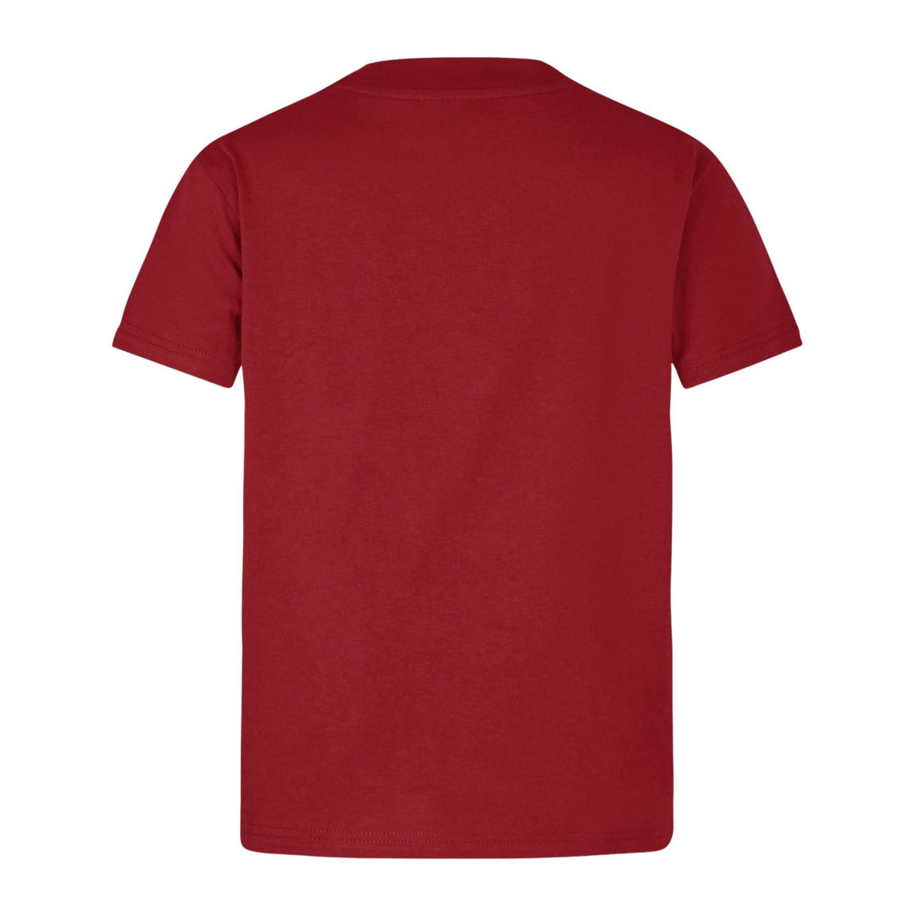 Canterbury British & Irish Lions Rugby Little Lions T-Shirt | Red | 2025