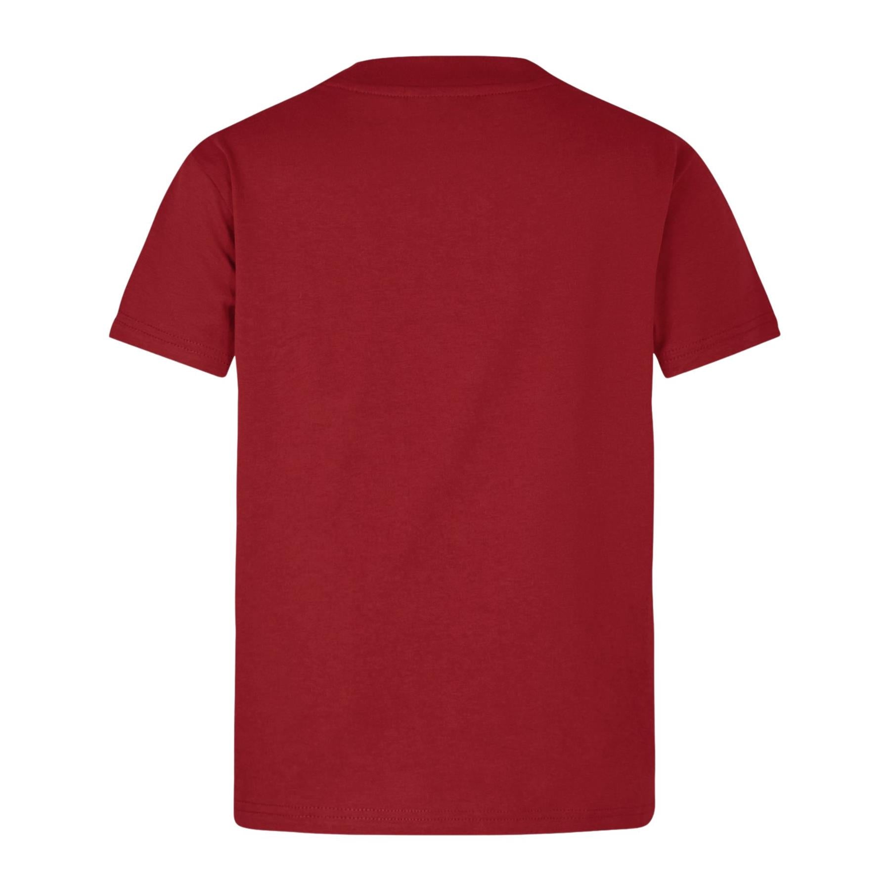 Canterbury British & Irish Lions Rugby Little Lions T-Shirt | Red | 2025