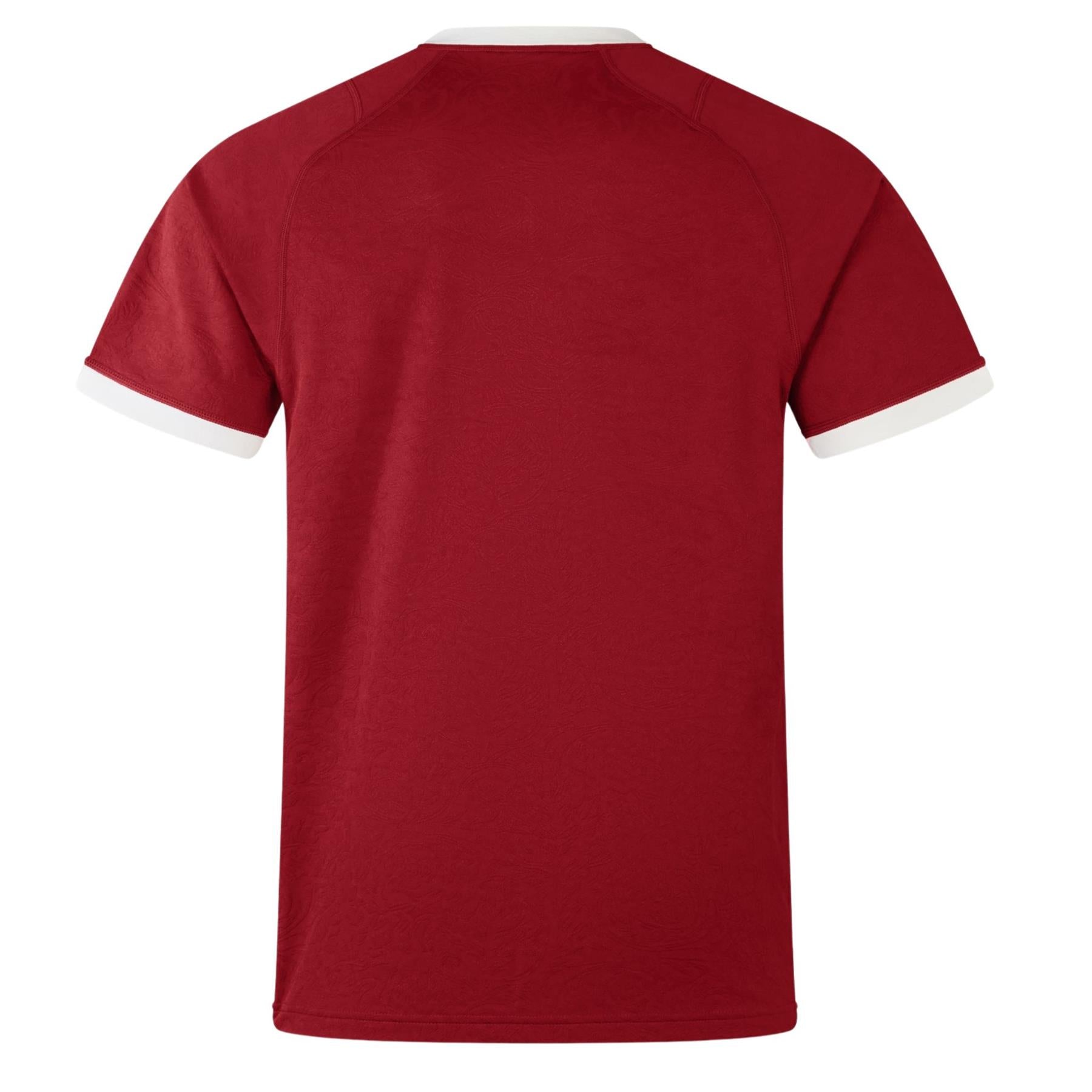 Canterbury British & Irish Lions Rugby Unisex Replica Jersey Back