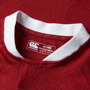 A detailed photo showing the neck  of the new official British & Irish Lions jersey shirt. Junior sized