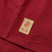 Canterbury British & Irish Lions Rugby Little Lions T-Shirt | Red | 2025